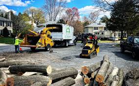 Trusted Cavalero, WA Tree Care Experts