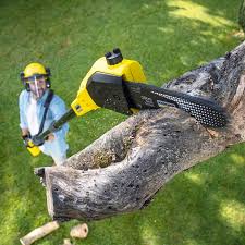 Best Lawn Watering Services  in Cavalero, WA
