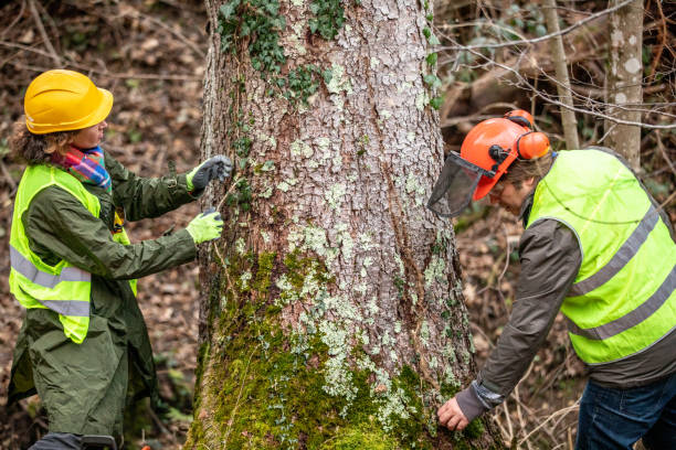 Best Seasonal Cleanup (Spring/Fall)  in Cavalero, WA