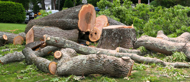 Best Hazardous Tree Removal  in Cavalero, WA